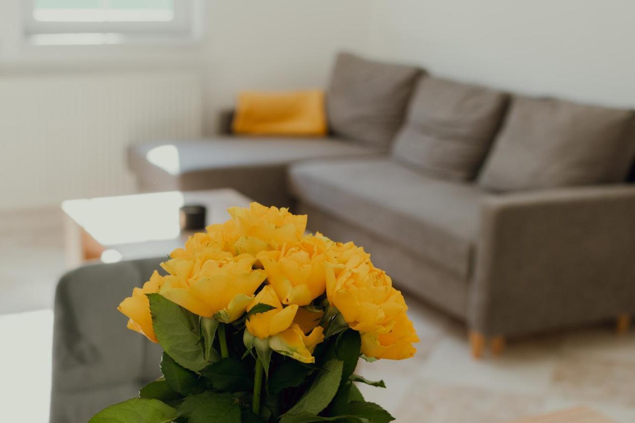 Apartman Emily Brezno Zewnętrze zdjęcie